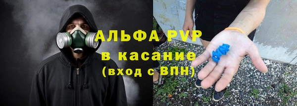 гидра Аркадак