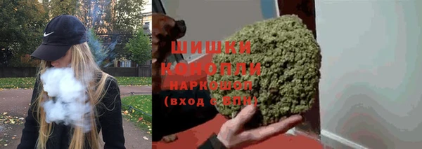 ПСИЛОЦИБИНОВЫЕ ГРИБЫ Арсеньев