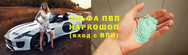 гидра Аркадак