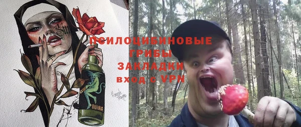 ПСИЛОЦИБИНОВЫЕ ГРИБЫ Армянск