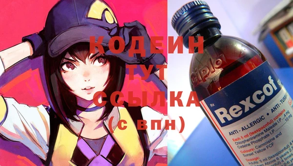 ПСИЛОЦИБИНОВЫЕ ГРИБЫ Арсеньев