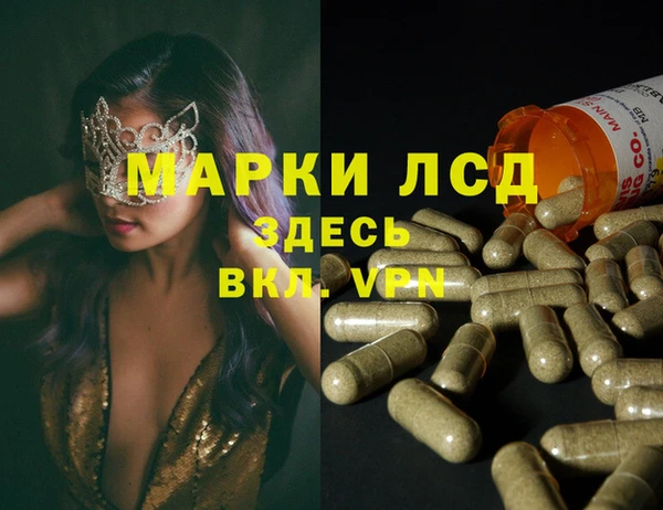 гидра Аркадак