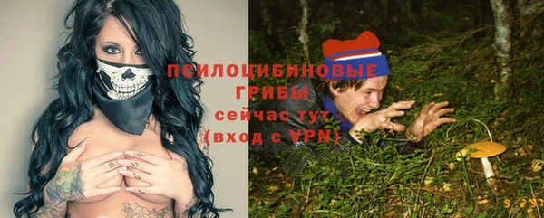 ПСИЛОЦИБИНОВЫЕ ГРИБЫ Арсеньев