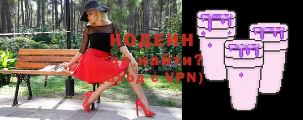 ПСИЛОЦИБИНОВЫЕ ГРИБЫ Арсеньев