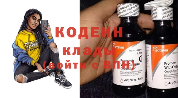 ПСИЛОЦИБИНОВЫЕ ГРИБЫ Арсеньев
