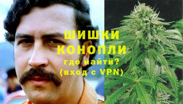 гидра Аркадак