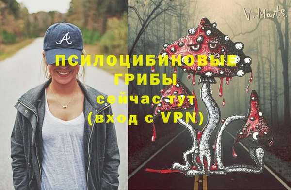 ПСИЛОЦИБИНОВЫЕ ГРИБЫ Арсеньев