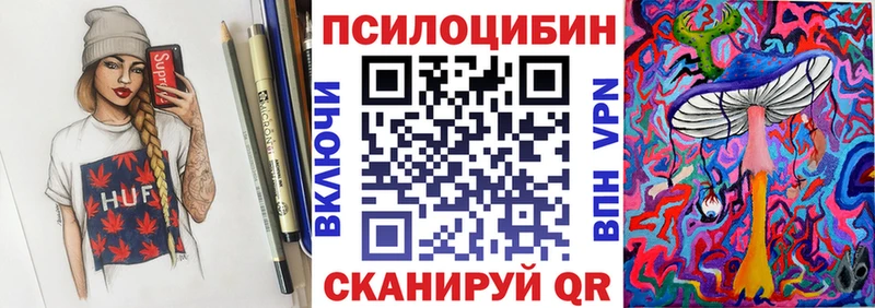 Псилоцибиновые грибы Psilocybine cubensis  блэк спрут зеркало  Онега 